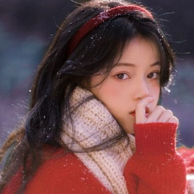 奚眉力