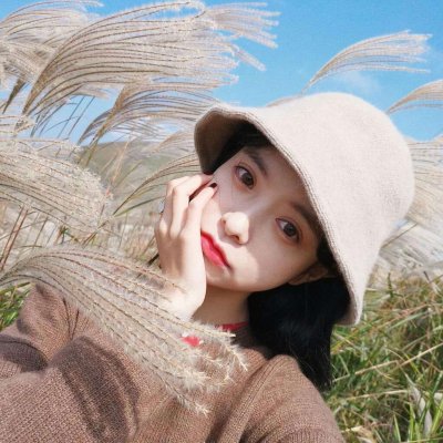V2.61官方版本