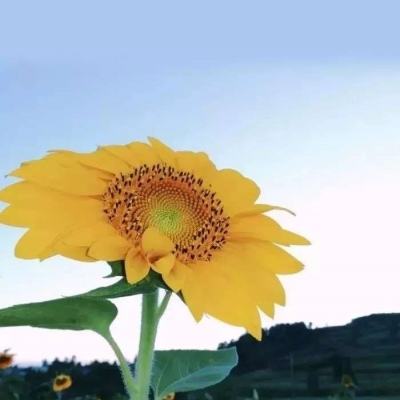 8月份失業率數據公布