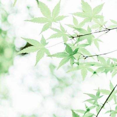 [視頻]央視快評(píng)：在發(fā)展全過(guò)程人民民主中把人民政協(xié)的顯著政治優(yōu)勢(shì)更加充分發(fā)揮出來(lái)