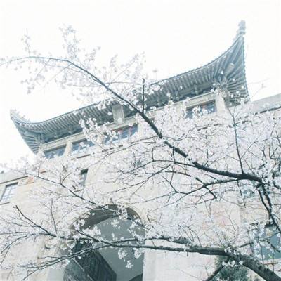 手機(jī)天下彩網(wǎng)址