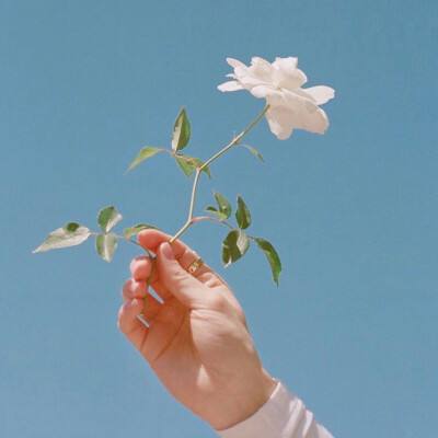 V4.83官方版本