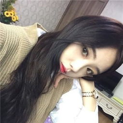 火鳥娛樂APP
