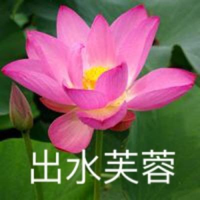 屠呦呦入圍BBC